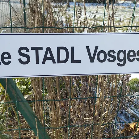 Le Stadl Vosges Holiday home Jussarupt