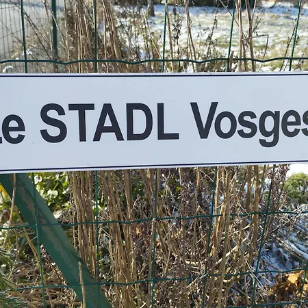 Le Stadl Vosges 펜션 Jussarupt