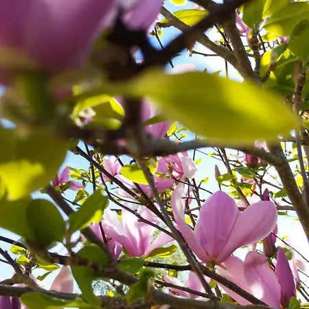 Le Stadl Vosges Nyaraló *