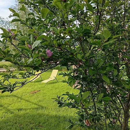 Nyaraló Le Stadl Vosges
