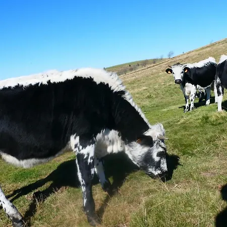 Le Stadl Vosges * Jussarupt