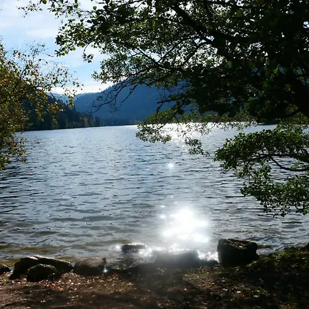 Дом отдыха Le Stadl Vosges *