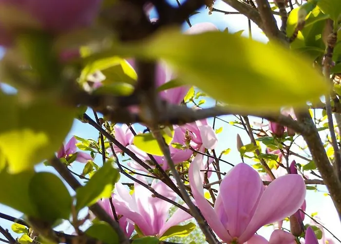 Le Stadl Vosges Prázdninový dům *