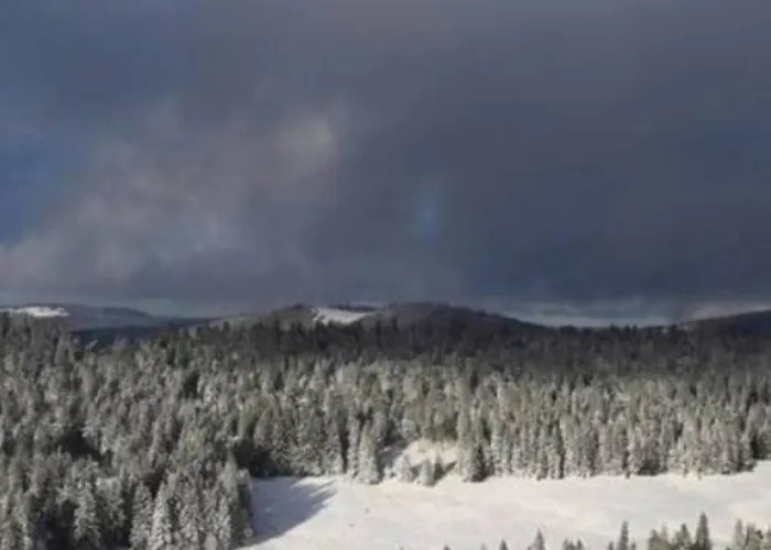 Prázdninový dům Le Stadl Vosges *