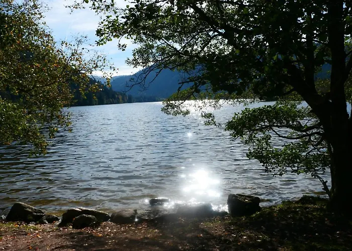 Дом отдыха Le Stadl Vosges *